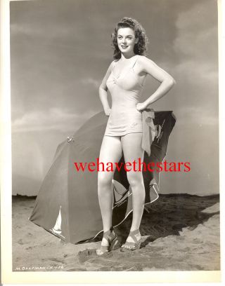 Vintage Marguerite Chapman Sexy Bathing Suit Pinup 40s Publicity Portrait