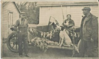 1919 Photo Duck Hunters Huron Sd 75 Ducks Shot By 3 Men Woman Bird Dog Old Car