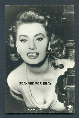 Sophia Loren Glamour Vintage European Series 1950s Photo Postcard 2