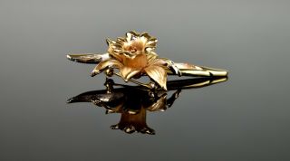Vintage Crown Trifari Signed Brushed Gold Tone 3 - D Daffodil Flower Brooch