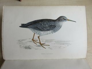 A History of British Birds by Rev F.  O.  Morris,  Vols I - VIII. 8