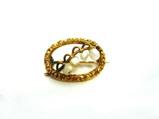 Lovely Vintage Gold Seed Pearl Brooch/pin