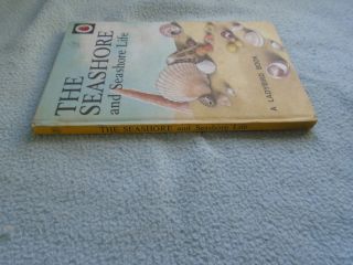 Vintage 1964 Lady Bird Book The Seashore Series 536 2