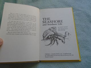 Vintage 1964 Lady Bird Book The Seashore Series 536 5