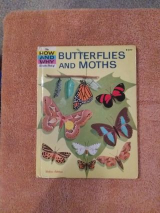 Vintage How And Why Wonder Book Of Butterflies And Moths - Hard Cover 4036 Delx