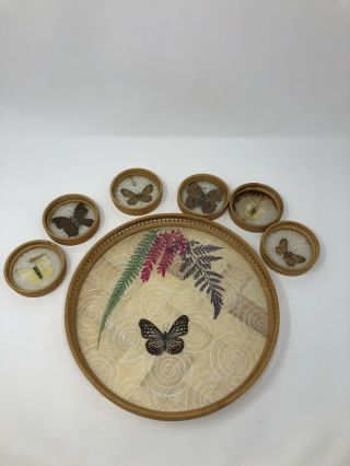 Vintage Butterfly Wing Art Inlaid Serving Tray Glass Cover Bamboo 6 Coasters