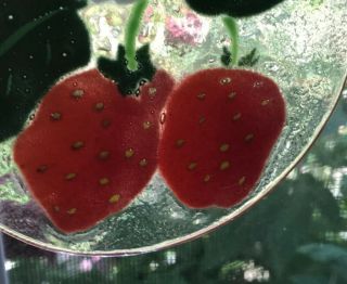 Vintage Peggy Karr Signed Fused Art Glass Ornament Strawberries 1989 3