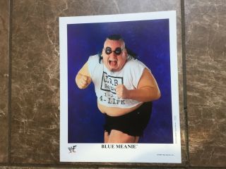 Vintage Wwf The Blue Meanie Wrestling Promo P - 512 Photo Picture 8 X 10 - Wwe