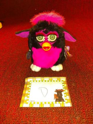 70 - 800 Furby Vintage 1999 Tags Still Attached Checked Pink & Black (d)