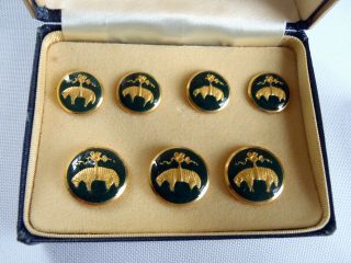 Vintage Brooks Brothers Golden Fleece Blazer Buttons Set of 7 4