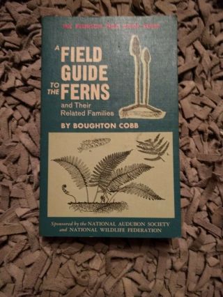 1963 Vintage Book A Field Guide To The Ferns / Boughton Cobb