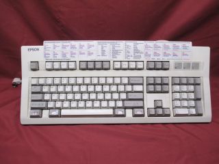 Vintage Epson Keyboard Model Q303a With Microsoft Word Template Attached