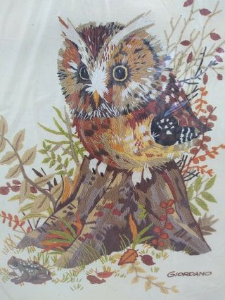 Vintage Giordano Owl Crewel Embroidery Kit 1980 " Candid Owl " Nature 