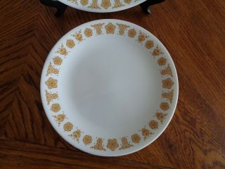 (8) Vintage Corelle Corning Butterfly Gold SALAD lunch PLATES 8 1/2 