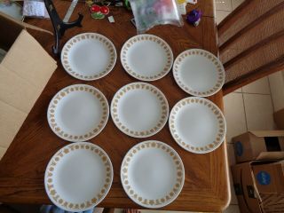 (8) Vintage Corelle Corning Butterfly Gold SALAD lunch PLATES 8 1/2 
