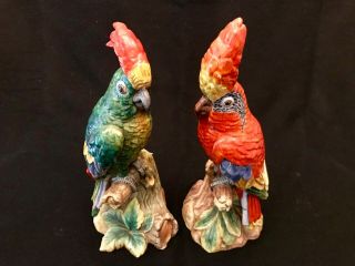 Vintage Italian Porcelain Parrot Pair Initialed Numbered 14”
