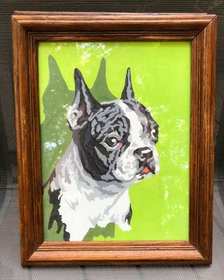 Vintage Boston Terrier Dog Paint By Numbers Painting Picture Set Wall Art 5