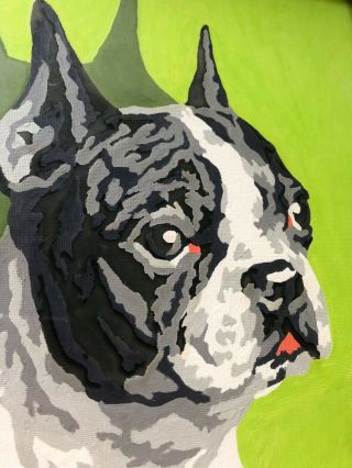 Vintage Boston Terrier Dog Paint By Numbers Painting Picture Set Wall Art 8