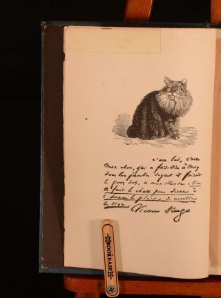 1885 The Cat Past And Present M.  Champfleury Frances Cashel Hoey Illustrated