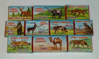 8 Vintage 1960s Marx Animal Kingdom,  10 Figures In Boxes,