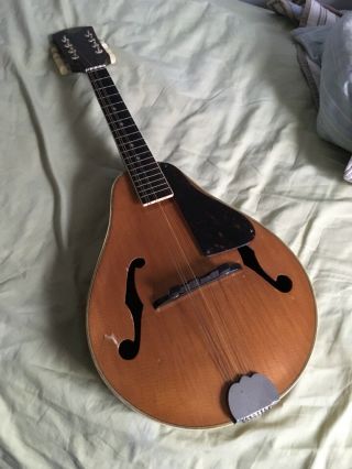 Vintage Mandolin As Found.  Guessing Kay? Epiphone?