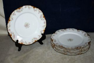 Vintage Set Of 6 Haviland Limoges Dinner Plates W/gold Adornments