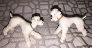 Vintage Set Of (2) Mini Hutschenreuther Porcelain Poodle Figurines Adorable