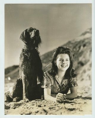 Virginia Weidler Photo 1942 Publicity Portrait Vintage