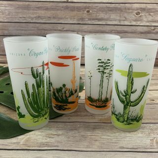 Arizona Cactus Vintage Frosted Glass Set Of 4 High Ball Souvenir Cups Tall