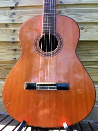 Vintage Yamaha G - 50a Acoustic Guitar Made In Japan Nippon Classic Folk 60s 70s
