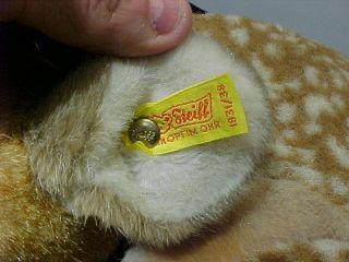 VINTAGE STEIFF FAWN - LAYING DOWN - 1831/38 WITH TAG/BUTTON DEER STUFFED ANIMAL 3