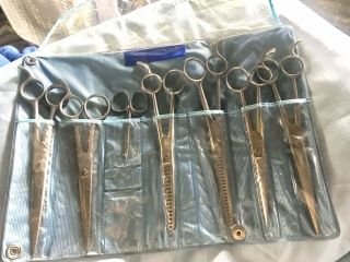 Miscellaneous Vintage Barber Shears - Giesen And Forstoff,  Severin Paris,  Royal