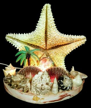 Vintage Nautical Coastal T.  V.  Lamp Starfish Seashell Beach Decor Palm Tree Usa