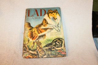 1953 Lad: A Dog,  By Albert Payson Terhune Hb (collies)