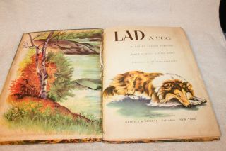 1953 LAD: A Dog,  by Albert Payson Terhune HB (Collies) 2
