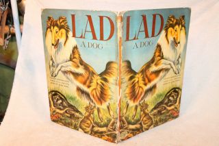 1953 LAD: A Dog,  by Albert Payson Terhune HB (Collies) 5