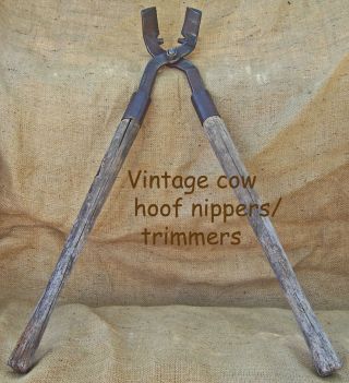 Vintage Milcare Corp Cow Hoof Trimmers Needs Handles