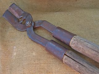 VINTAGE MILCARE CORP COW HOOF TRIMMERS NEEDS HANDLES 3