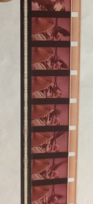 Vintage Movie 16mm One of our Dinosaurs is Missing Feature 1975 Film Disney 5
