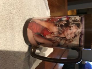 FARRAH FAWCETT CHARLIE ' S ANGELS VINTAGE THERMO - SERV CUP 1976 RED SWIMSUIT GIFT 3