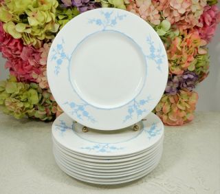 11 Vintage Copeland Spode Porcelain Dinner Plates Geisha Light Blue