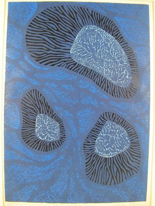 Vintage Woodcut Artist Proof Print " Nocturnal Phagocytes " By Charles Adams Yqz