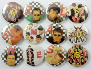 Madness Button Badges 12 X Vintage Madness Pin Badges Suggs