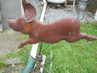 VINTAGE COPPER PIG OR HOG WEATHERVANE FRESH OFF THE ROOF 26 INCHES 5