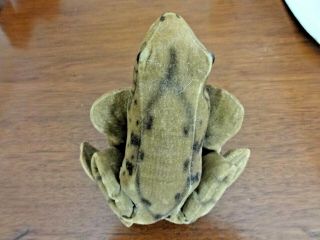 VINTAGE 1950 ' S STEIFF FROGGY FROG GERMANY w ORG.  BUTTON & FROGGY TAG EX.  COND 3