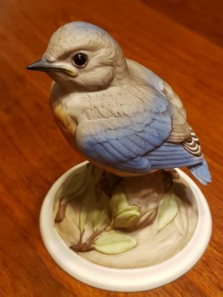 Vintage Boehm Baby Blue Bird 442 G Made In Usa