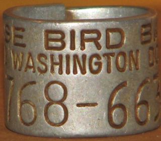 Vintage Avise Write Washington Dc Authentic Goose Leg Bird Band 768 - 66393