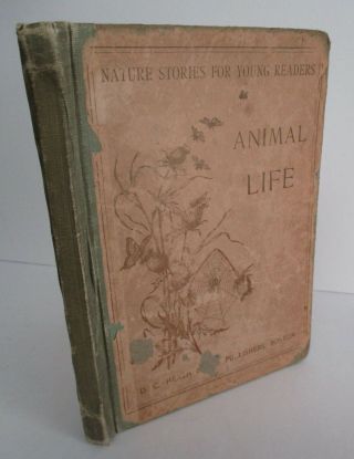 Nature Stories For Young Readers,  Animal Life,  By Florence Bass,  1903 Illustrate