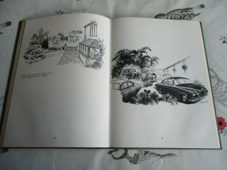 1972 THE EFFLUENT SOCIETY : THELWELL : POLITICAL ENVIRONMENTAL CARTOONS : PUNCH 4