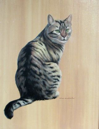 VINTAGE OIL PAINTING OF CAT BY ZINO MADDALONI 2